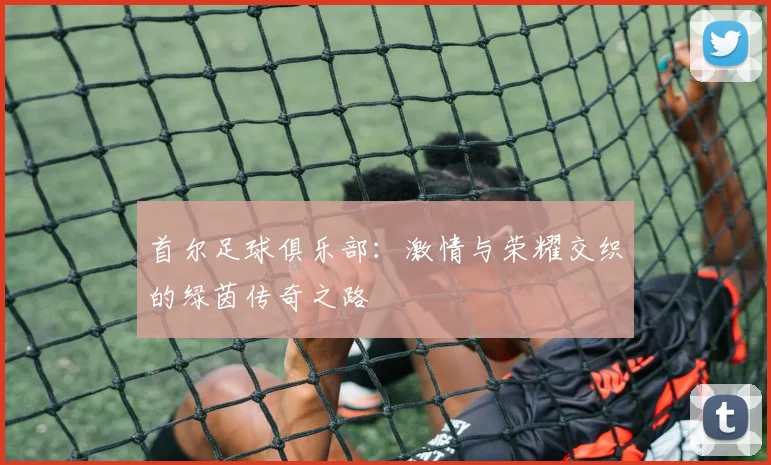 首尔足球俱乐部：激情与荣耀交织的绿茵传奇之路