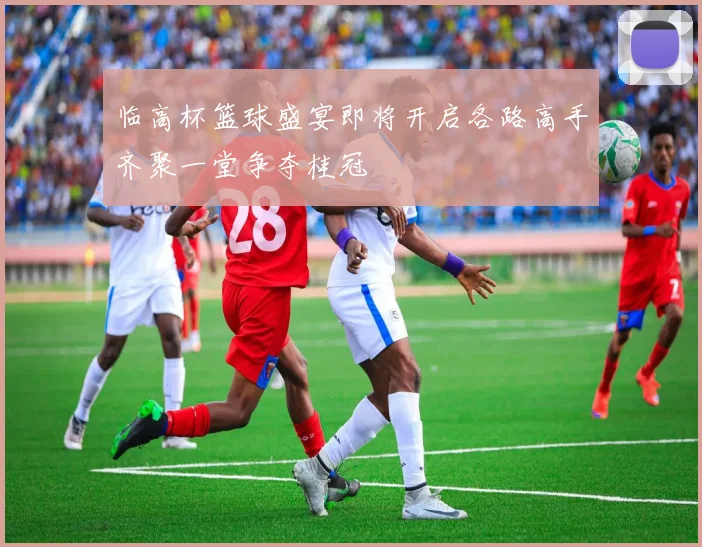 临高杯篮球盛宴即将开启各路高手齐聚一堂争夺桂冠